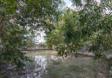 210 Sqm Residential Land For Sale - Svay Dangkum, Siem Reap thumbnail