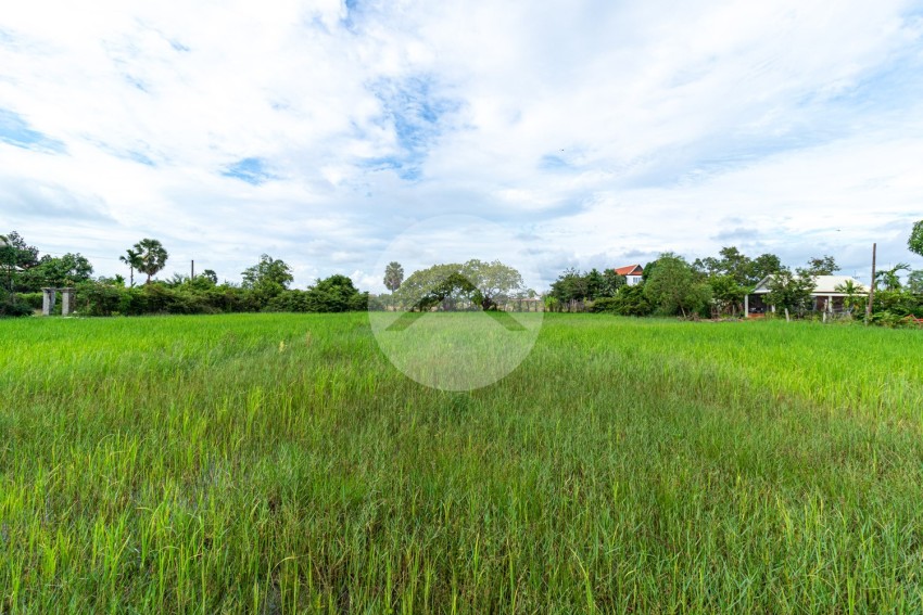 2,384 Sqm Residential Land For Sale - Svay Dangkum, Siem Reap