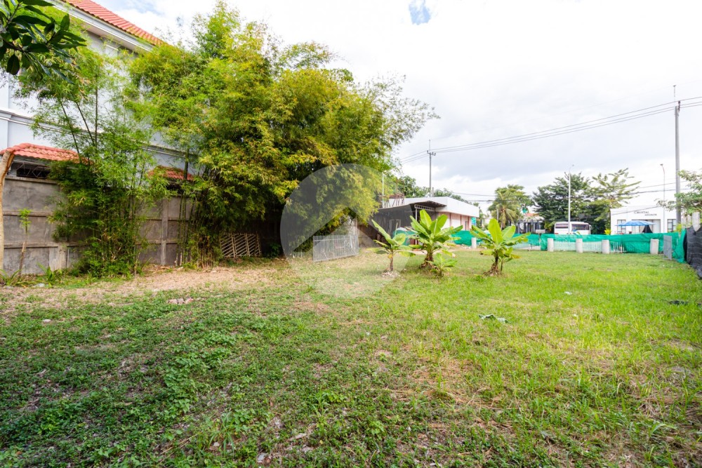 780 Sqm Commercial Land For Sale - Svay Dangkum, Siem Reap - Image 2
