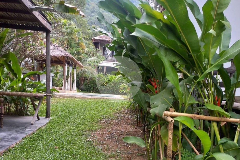 970 Sqm Land  With 2 Villas And A Bangalow For Sale - Prey Thum, Kep - Image 5
