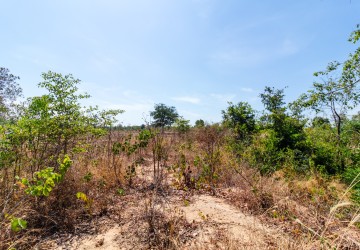 20000 Sqm Land For Sale - Koulen Mountain, Siem Reap thumbnail