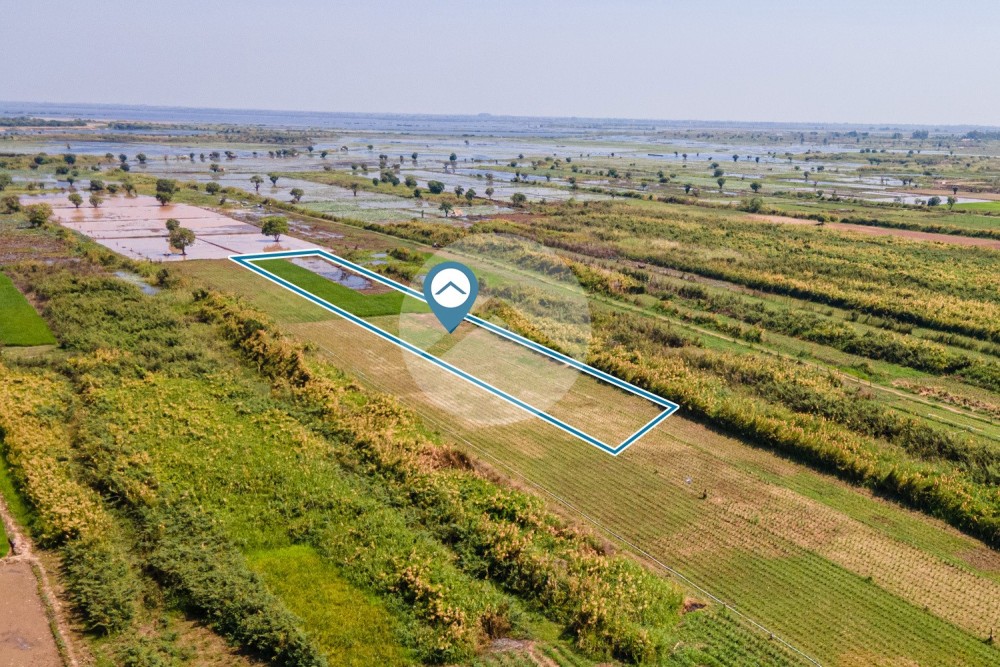 4,376 Sqm Land For Sale - Lvea Aem, Kandal - Image 3