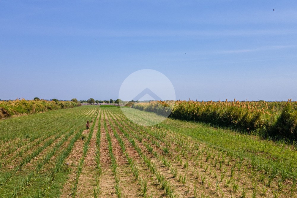 4,376 Sqm Land For Sale - Lvea Aem, Kandal - Image 12