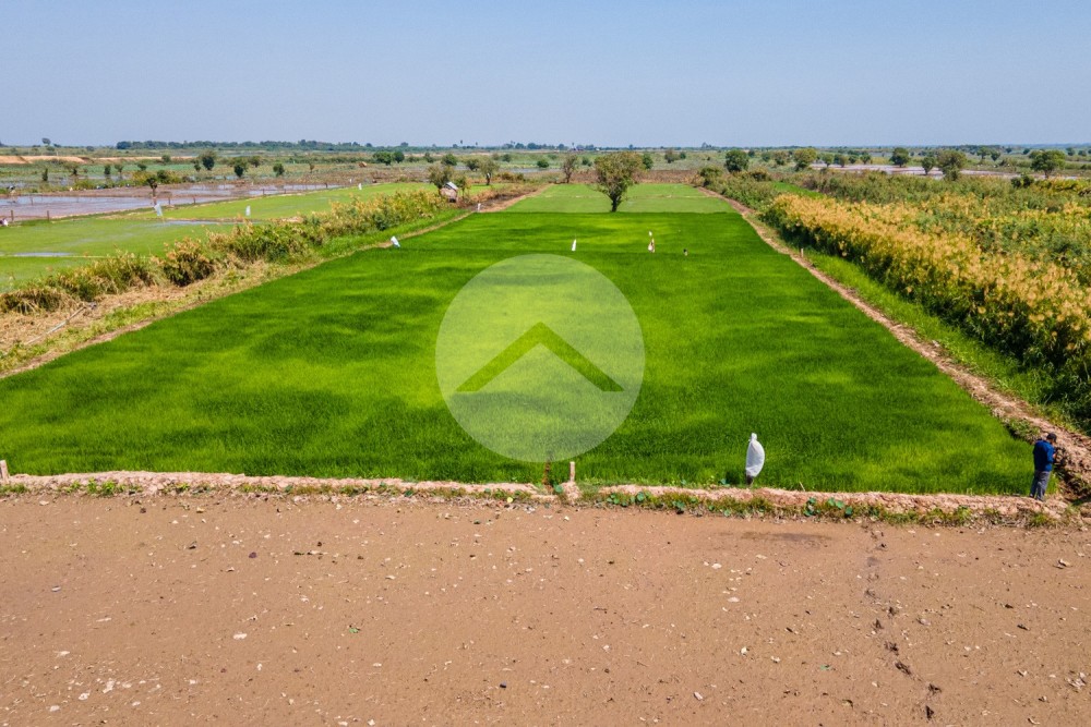 5,723 Sqm Land For Sale - Lvea Aem, Kandal - Image 11
