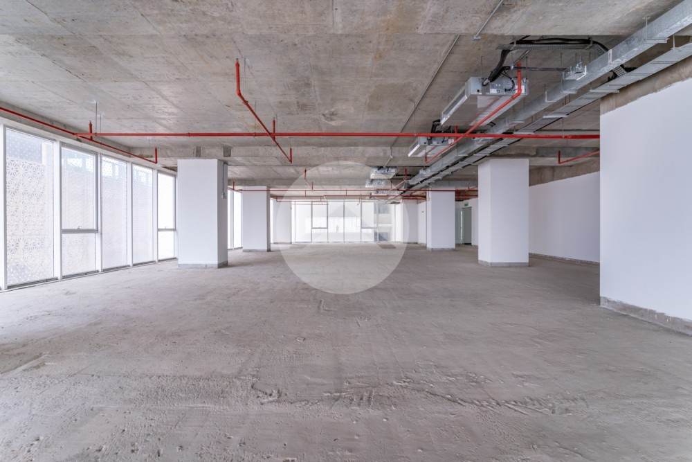 1,030 Sqm Office Space For Rent - Toul Kork, Phnom Penh - Image 3