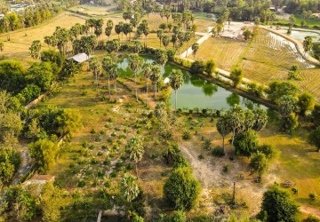 15,261 Sqm Land For Sale - Puok, Siem Reap thumbnail