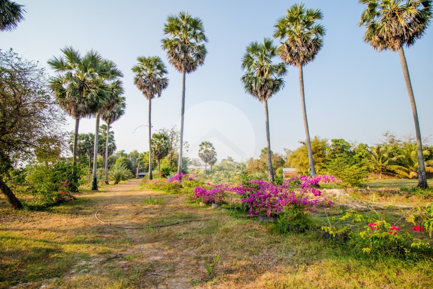 15,261 Sqm Land For Sale - Puok, Siem Reap