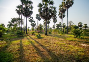 15,261 Sqm Land For Sale - Puok, Siem Reap thumbnail