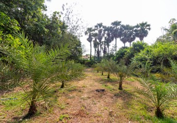 832 Sqm Residential Land For Sale - Sangkat Siem Reap, Siem Reap thumbnail