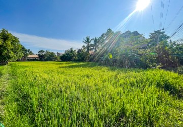 1,719 Sqm Land For Sale - Sangkat Siem Reap, Siem Reap thumbnail