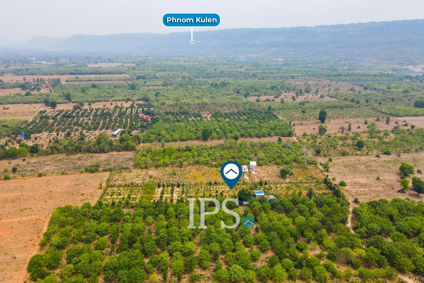 7,451 Sqm Land with 3 Bedroom Villa For Sale - Bantay Srei, Siem Reap