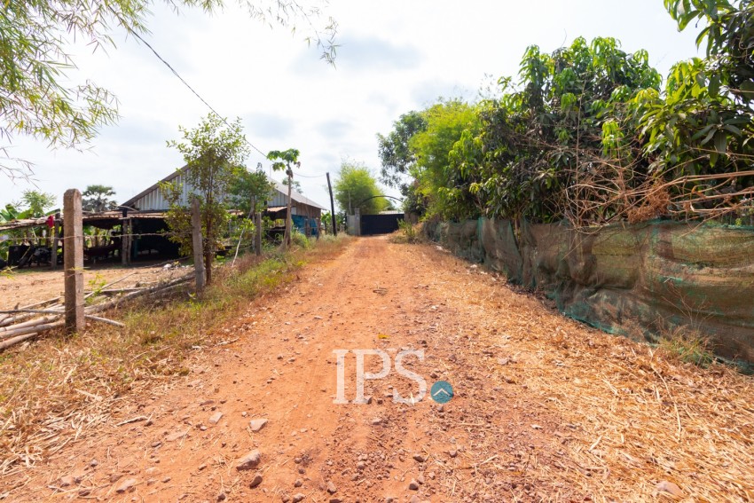 965 Sqm Land For Sale - Chreav, Siem Reap