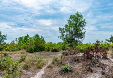 150,000 Sqm Land For Sale - Bantay Srei, Siem Reap thumbnail