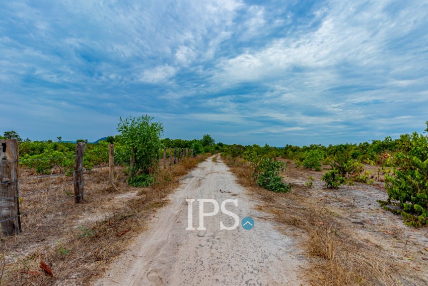 150,000 Sqm Land For Sale - Bantay Srei, Siem Reap