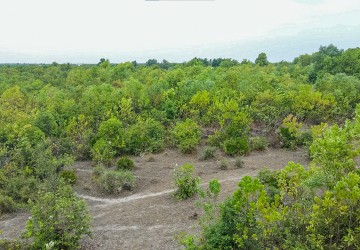 150,000 Sqm Land For Sale - Bantay Srei, Siem Reap thumbnail