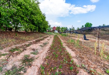 1957 Sqm Residential Land For Sale - Sambour, Siem Reap thumbnail