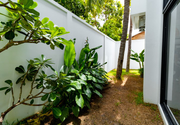 Brand New 3 Bedroom Villa For Sale - Svay Dangkum, Siem Reap thumbnail