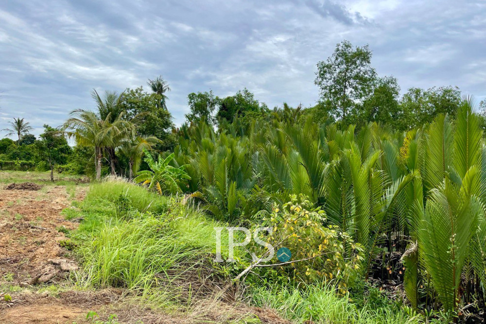 9,116 Sqm Land For Sale - Mak Prang, Tuek Chhu, Kampot Province - Image 6