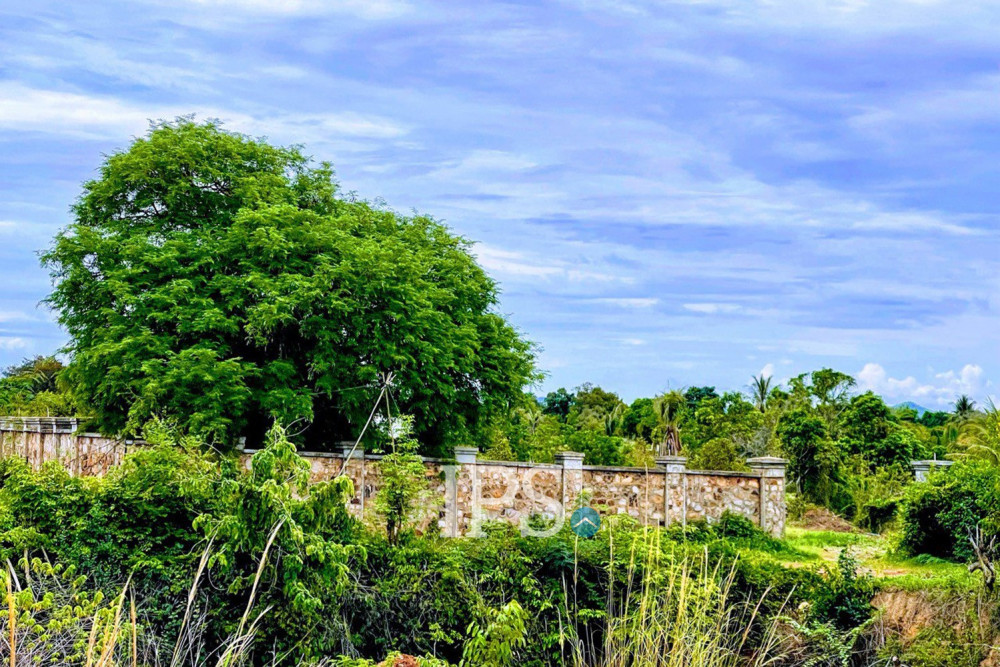 9,116 Sqm Land For Sale - Mak Prang, Tuek Chhu, Kampot Province - Image 15