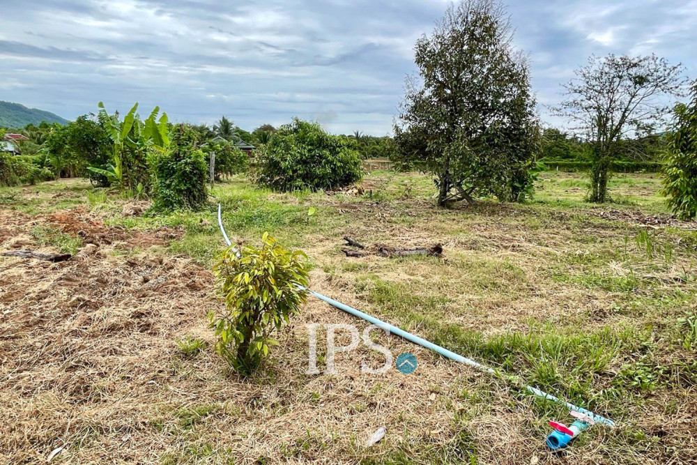 9,116 Sqm Land For Sale - Mak Prang, Tuek Chhu, Kampot Province - Image 12