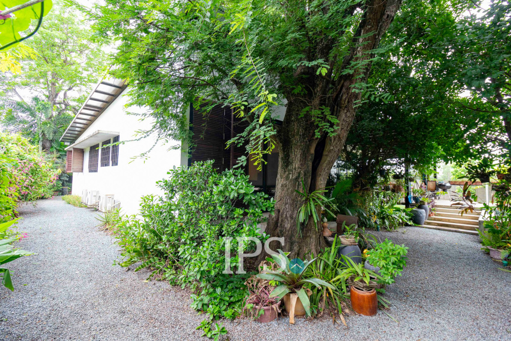 3 Bedroom House For Rent - Svay Dangkum, Siem Reap - Image 43
