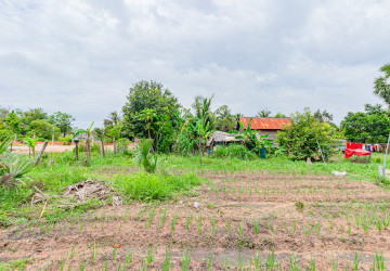 352 Sqm Residential Land For Sale - Kandaek, Prasat Bakong, Siem Reap thumbnail