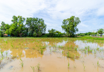 3,041 Sqm Land For Sale - Sala Kamreuk, Siem Reap thumbnail