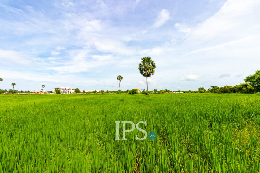 17,513 Sqm Land For Sale - Sra Ngae , Siem Reap