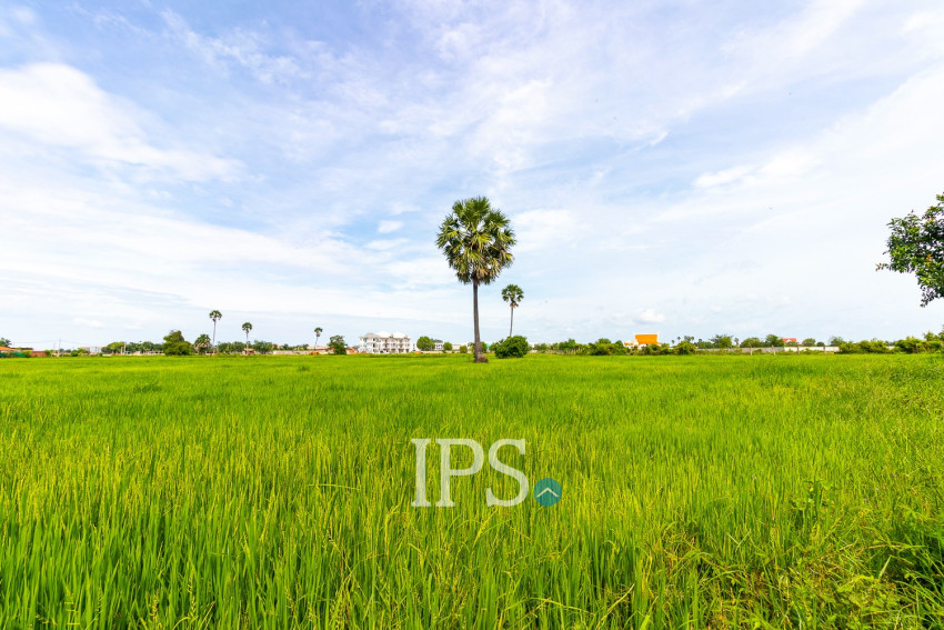 17,513 Sqm Land For Sale - Sra Ngae , Siem Reap