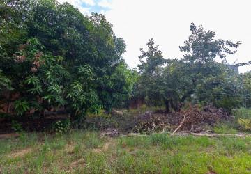 2,104 Sqm Residential Land For Sale - Slor Kram, Siem Reap thumbnail