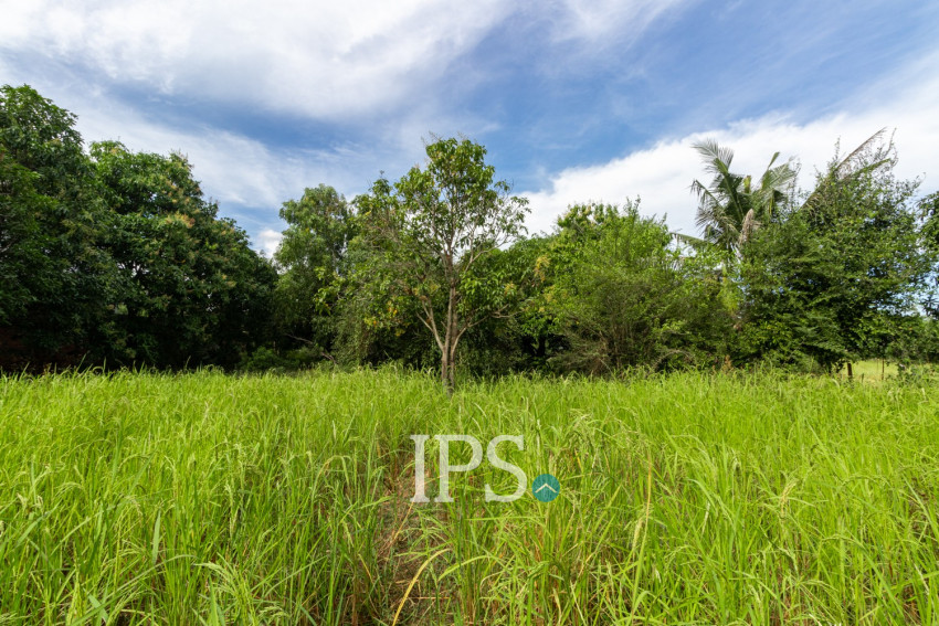 3,614 Sqm Land For Sale - Chreav, Siem Reap