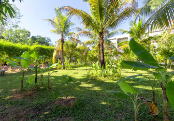 1 Bedroom Apartment For Rent - Slor Kram, Siem Reap thumbnail