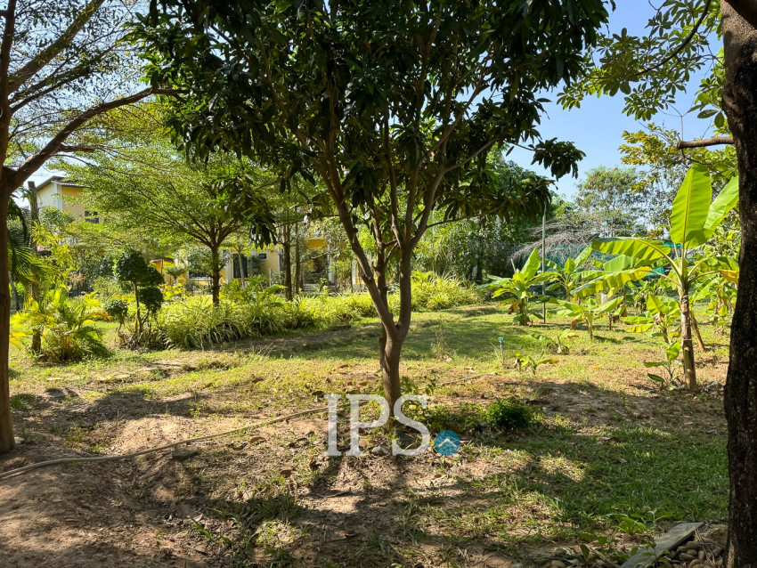 6 Bedroom Villa For Rent - Svay Dangkum, Siem Reap