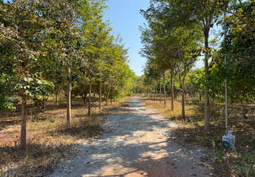 19,735 Sqm Land For Sale - Banteay Srei, Siem Reap thumbnail