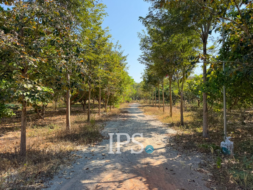 19,735 Sqm Land For Sale - Banteay Srei, Siem Reap