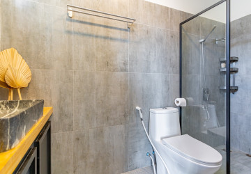 Renovated Duplex 3 Bedroom Apartment For Sale - BKK1, Phnom Penh thumbnail