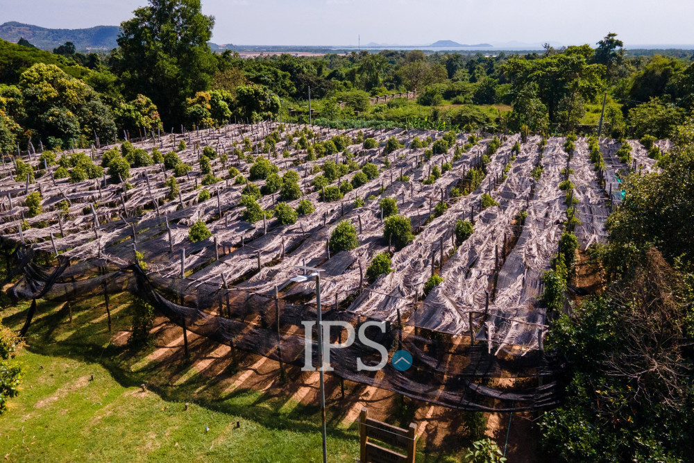 16,620 Sqm Land For Sale - Kep Province, Cambodia - Image 9