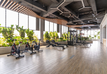 48 Sqm Studio Condo For Rent - Morgan EnMaison, Chroy Changvar, Phnom Penh thumbnail