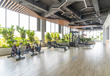 48 Sqm Studio Condo For Rent - Morgan EnMaison, Chroy Changvar, Phnom Penh thumbnail