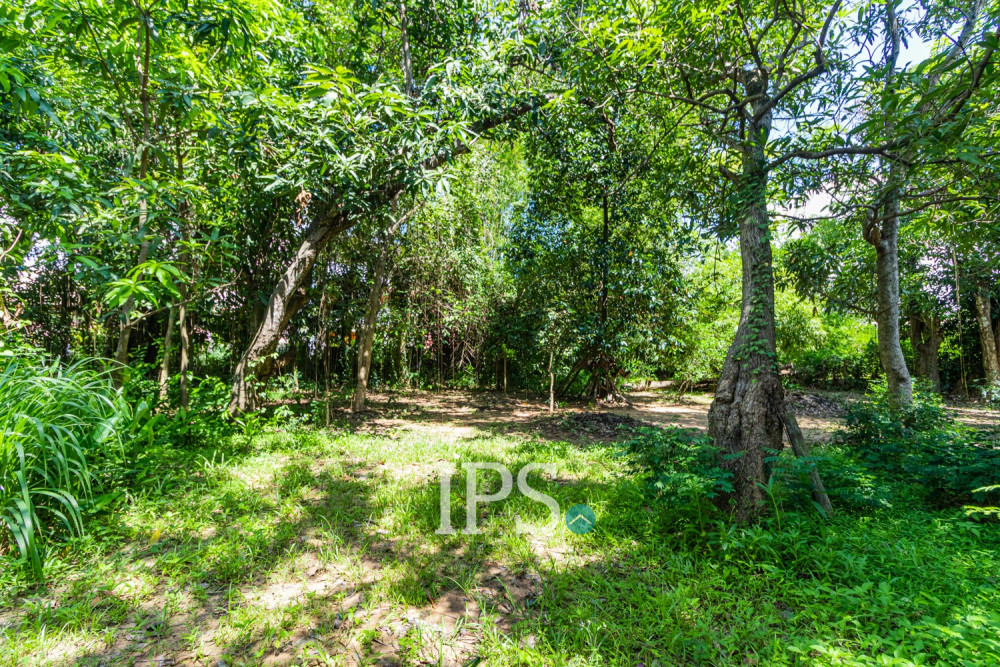 809 Sqm Land For Rent - Sala Kamreuk, Siem Reap - Image 11