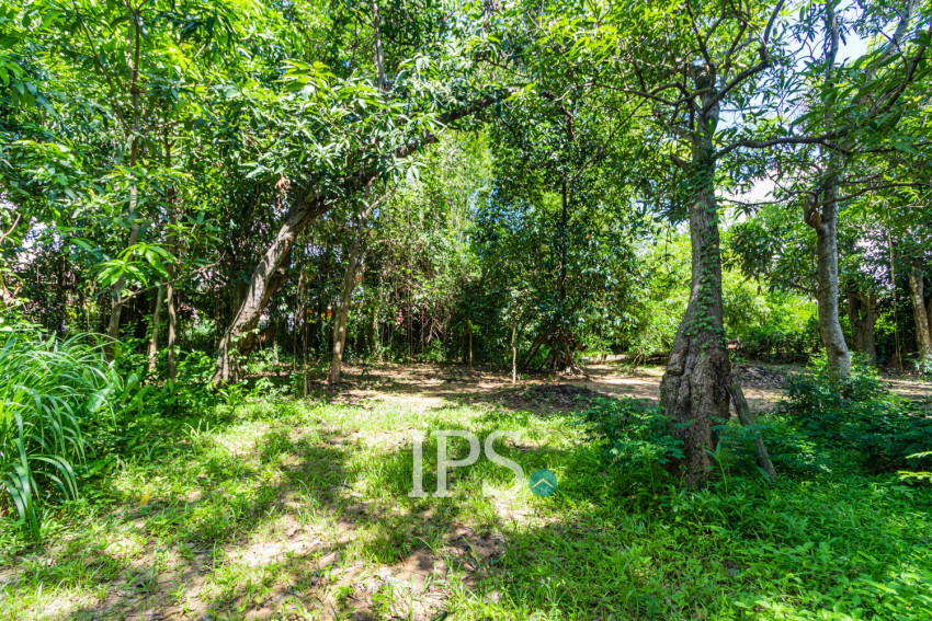 809 Sqm Land For Rent - Sala Kamreuk, Siem Reap