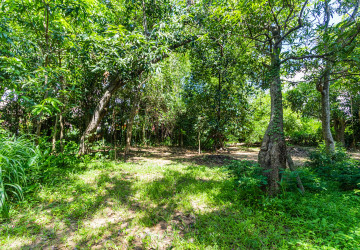 809 Sqm Land For Rent - Sala Kamreuk, Siem Reap thumbnail