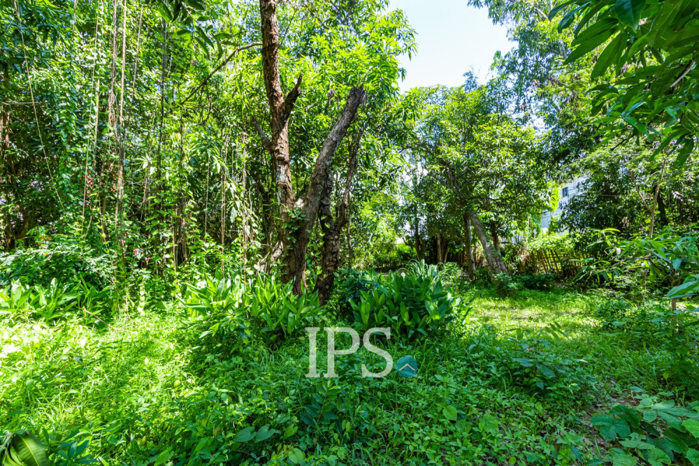 809 Sqm Land For Rent - Sala Kamreuk, Siem Reap - Image 10