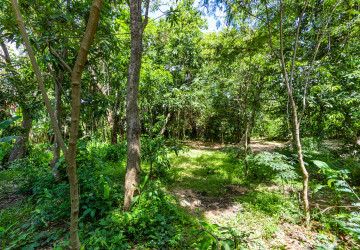 809 Sqm Land For Rent - Sala Kamreuk, Siem Reap thumbnail
