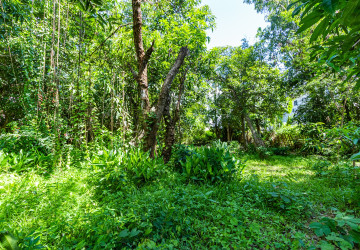 809 Sqm Land For Rent - Sala Kamreuk, Siem Reap thumbnail