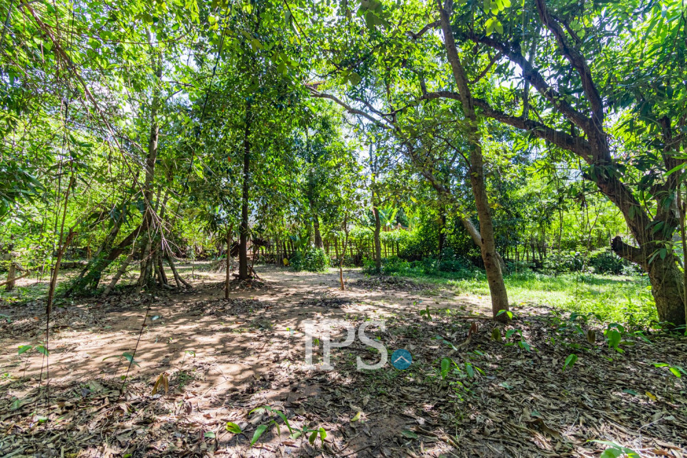 809 Sqm Land For Rent - Sala Kamreuk, Siem Reap - Image 14