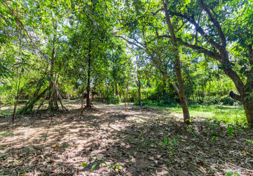809 Sqm Land For Rent - Sala Kamreuk, Siem Reap thumbnail