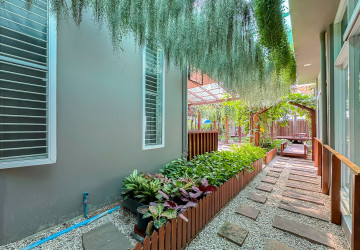 1,000 Sqm Commercial Building For Rent - Svay Dangkum, Siem Reap thumbnail