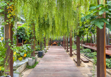 1,000 Sqm Commercial Building For Rent - Svay Dangkum, Siem Reap thumbnail