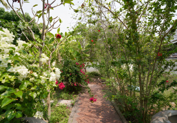 6 Bedroom House For Sale - Tuol Ta Ek, Battambang thumbnail